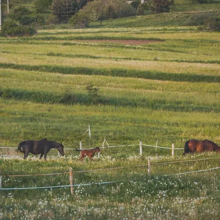 Brvnara Mountain House Kosjenka Kupres (Canton 10)